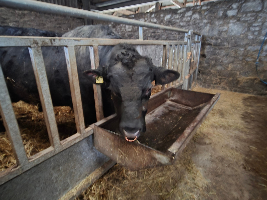 Newton Farm Holidays & Tours主图