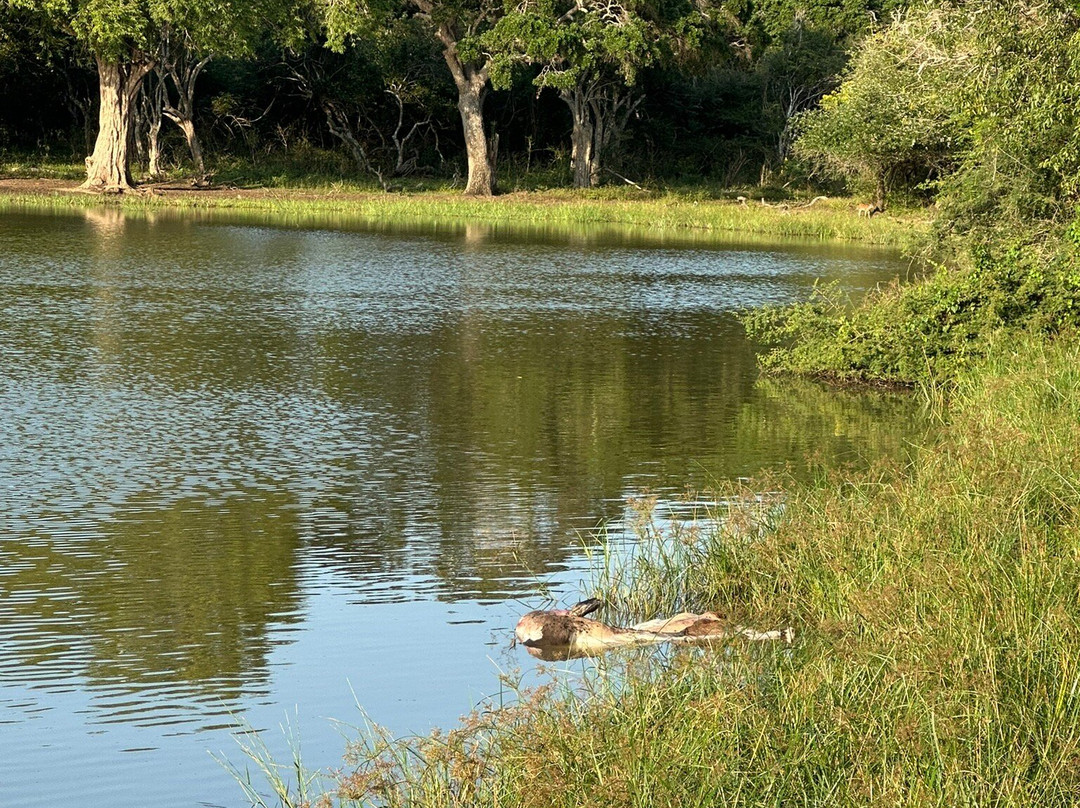 Ceylon Vacay Vibes-加勒必去景点