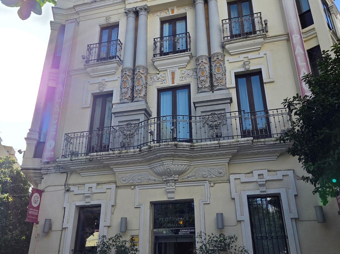 珀蒂宫卡纳莱哈斯塞维​​​​利亚酒店主图