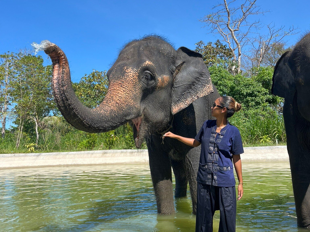 Trunk & Soul Elephant Home-班巴克洛必去景点