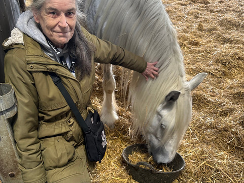 Cannon Hall Farm-Cawthorne必去景点