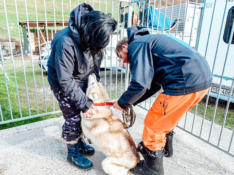 Fischer Adventures Day Tours-圣加仑必去景点