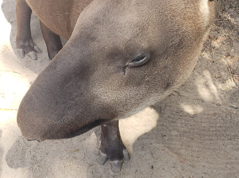 Zoo World Zoological Park-巴拿马城海滩必去景点
