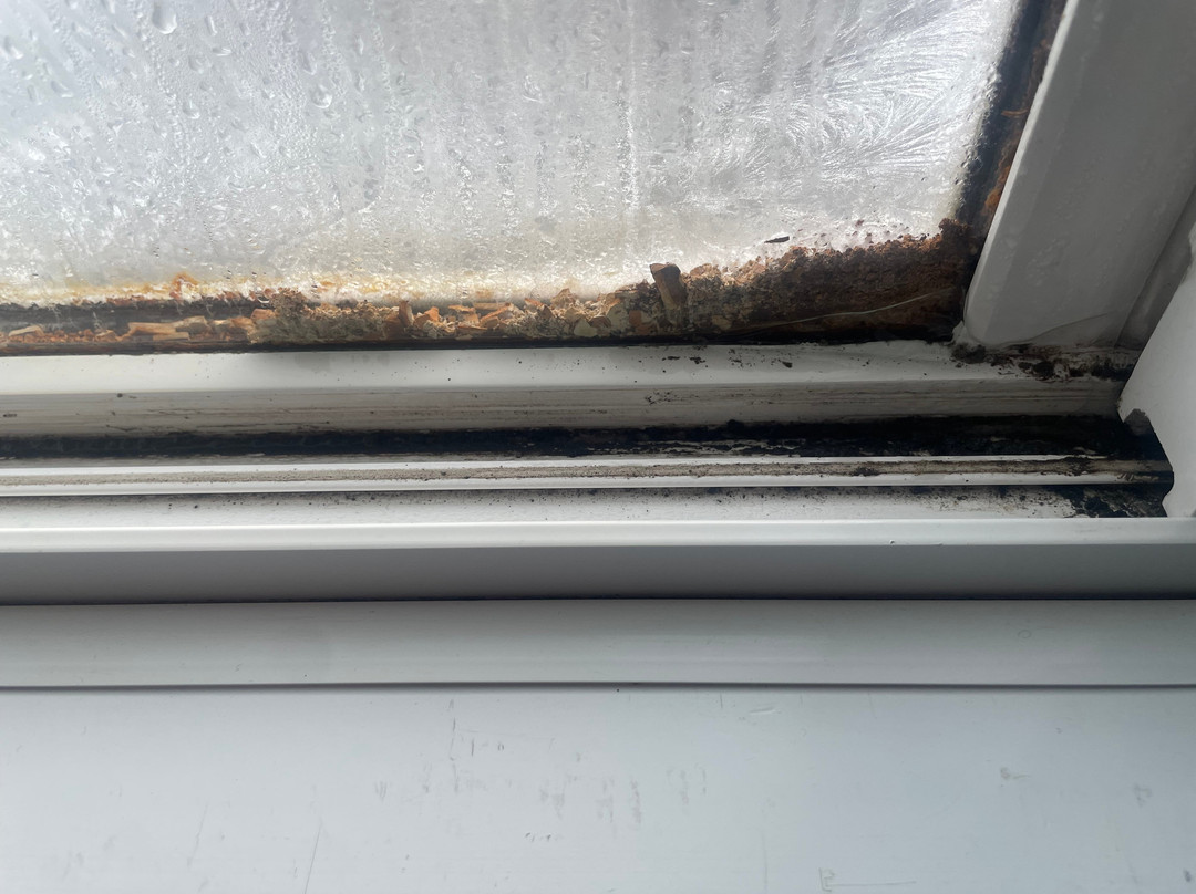 西法戈主干道速8酒店主图