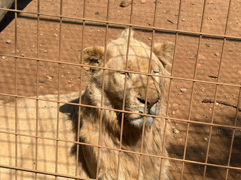 Pafos Zoo-帕福斯必去景点