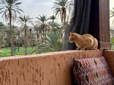 Zbartravel-扎古拉必去景点