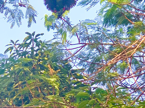 Untouchable Tours-Calibishie必去景点