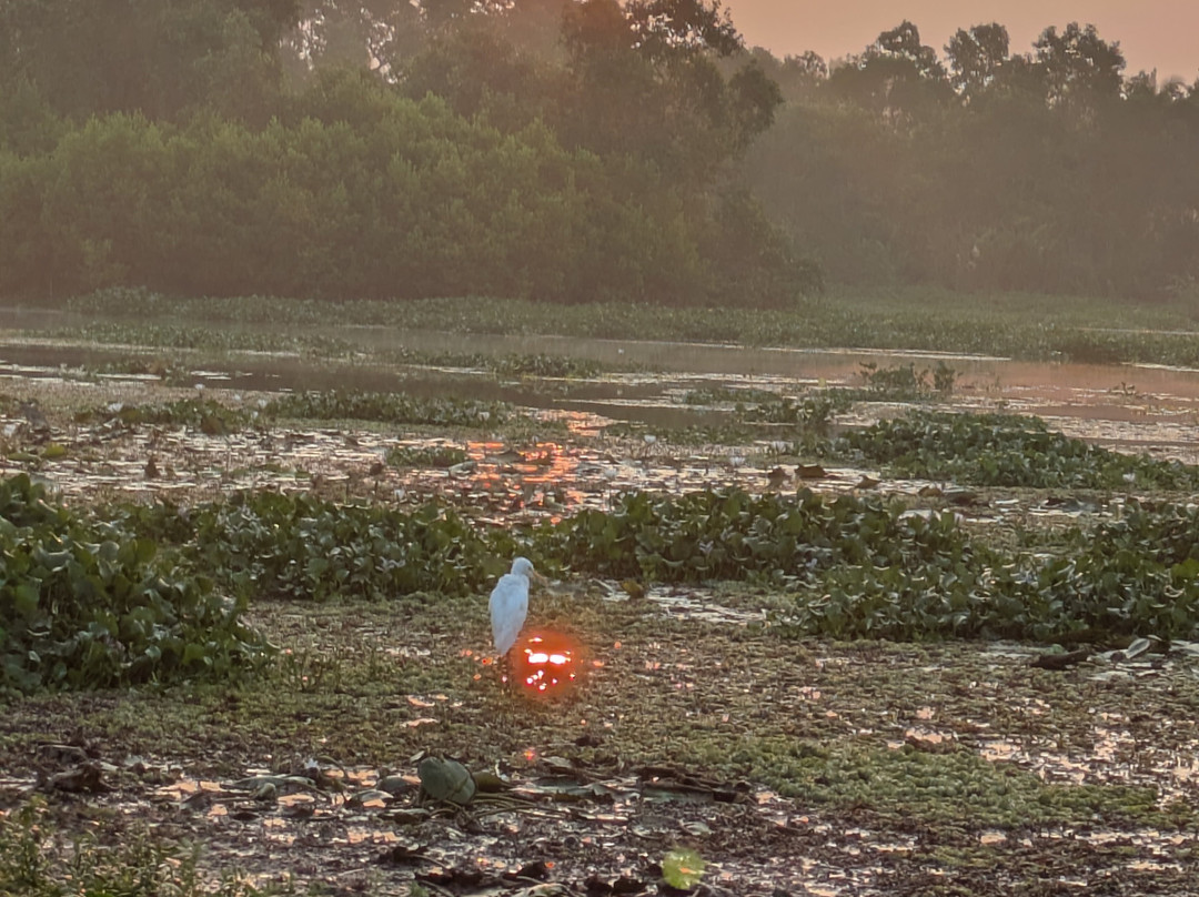 Wildlife Wonders Sri Lanka-唐卡拉必去景点