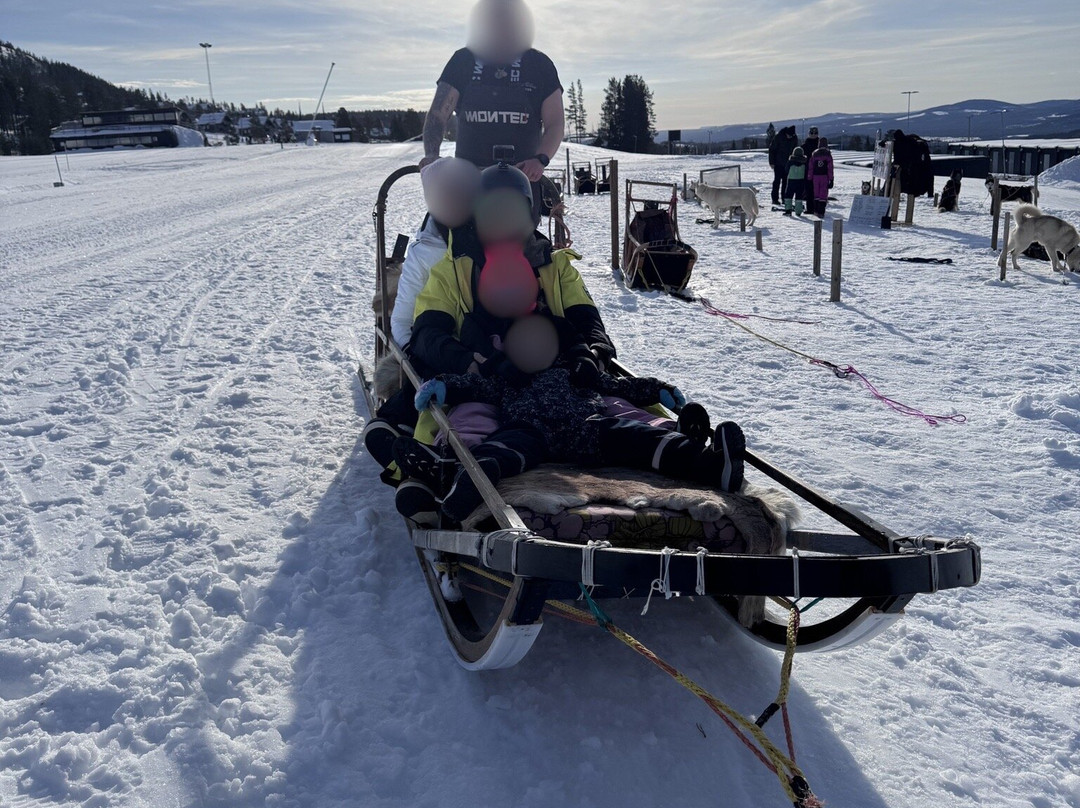 Adventure Dreams Husky Dogsledding-Idre必去景点