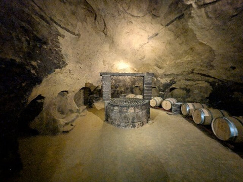 De'Ricci Cantine Storiche-蒙特普尔恰诺必去景点