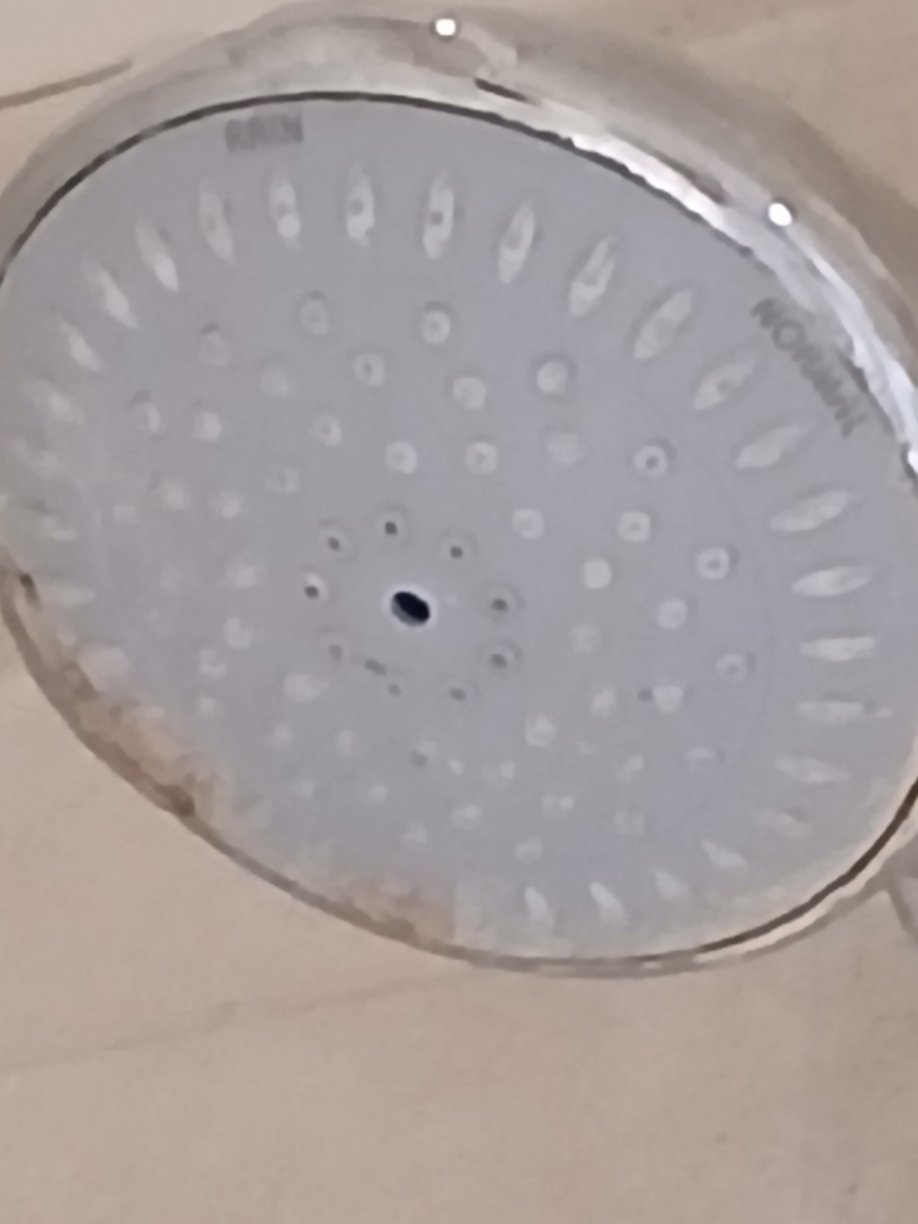 传统玫瑰王冠酒店-官方