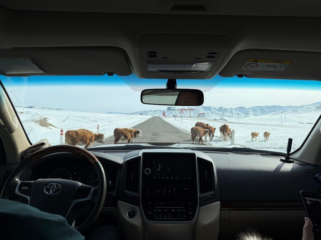 View Mongolia Travel-乌兰巴托必去景点