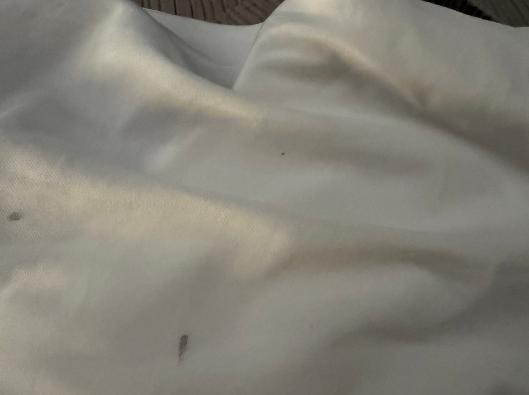 拉斯顿凯艺酒店主图