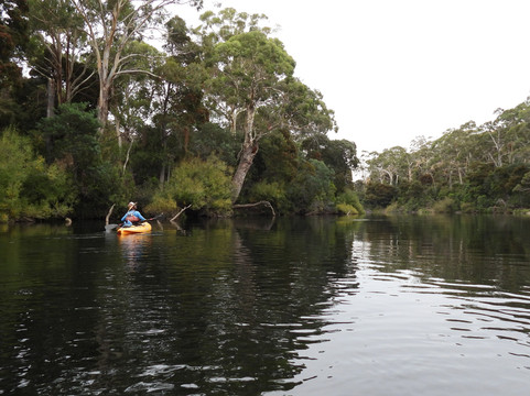 Tassie Bound-New Norfolk必去景点