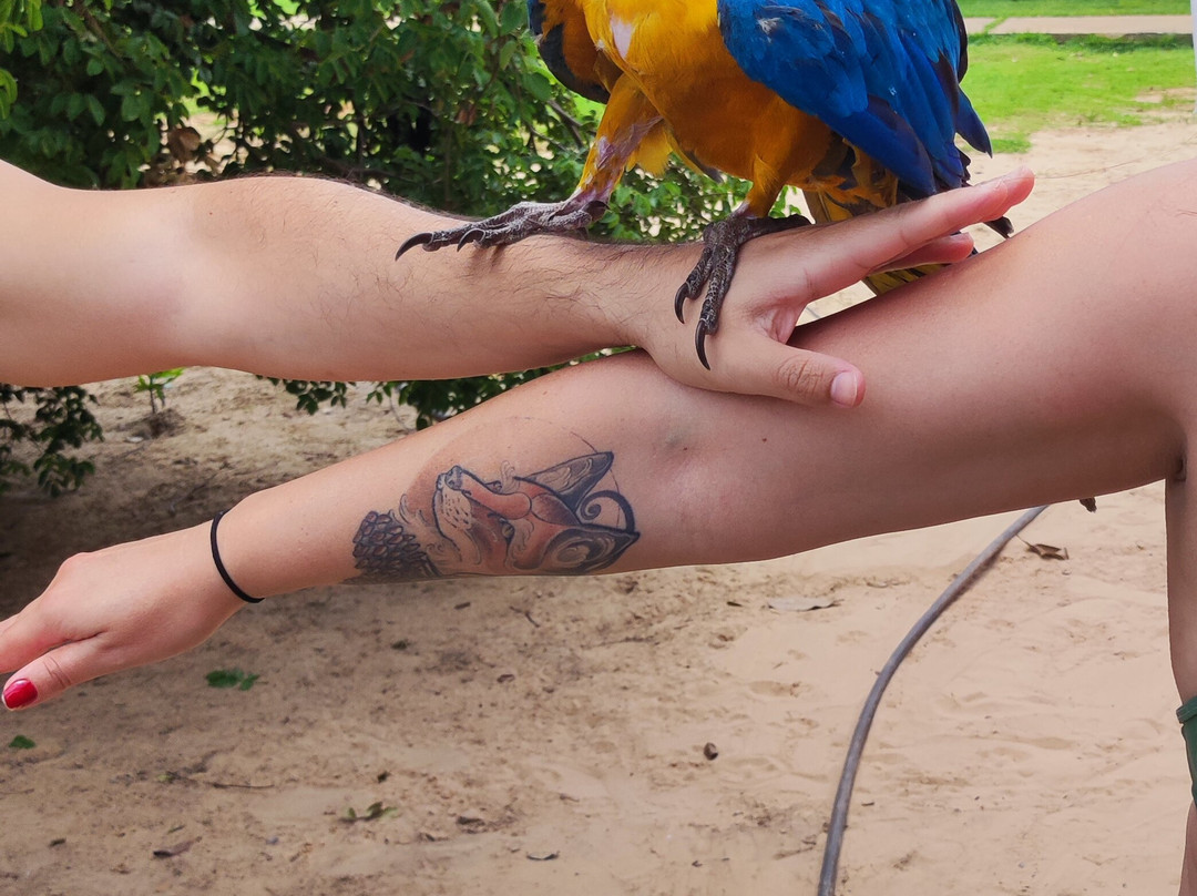 Jalapão Brasil Expedições-Palmas必去景点