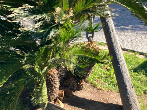 Ancla-阿尔特阿必去景点