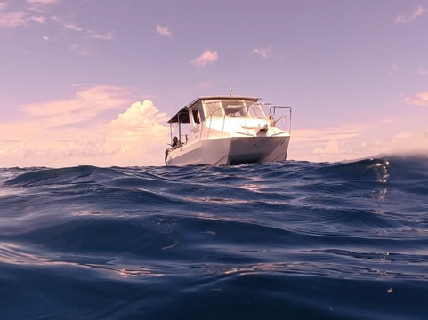 Taveuni Ocean Sports-塔韦乌尼岛必去景点