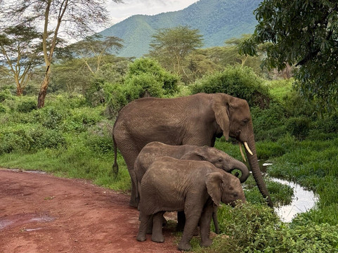 Unlimited Expeditions - The Soul Of Tanzania-阿鲁沙必去景点