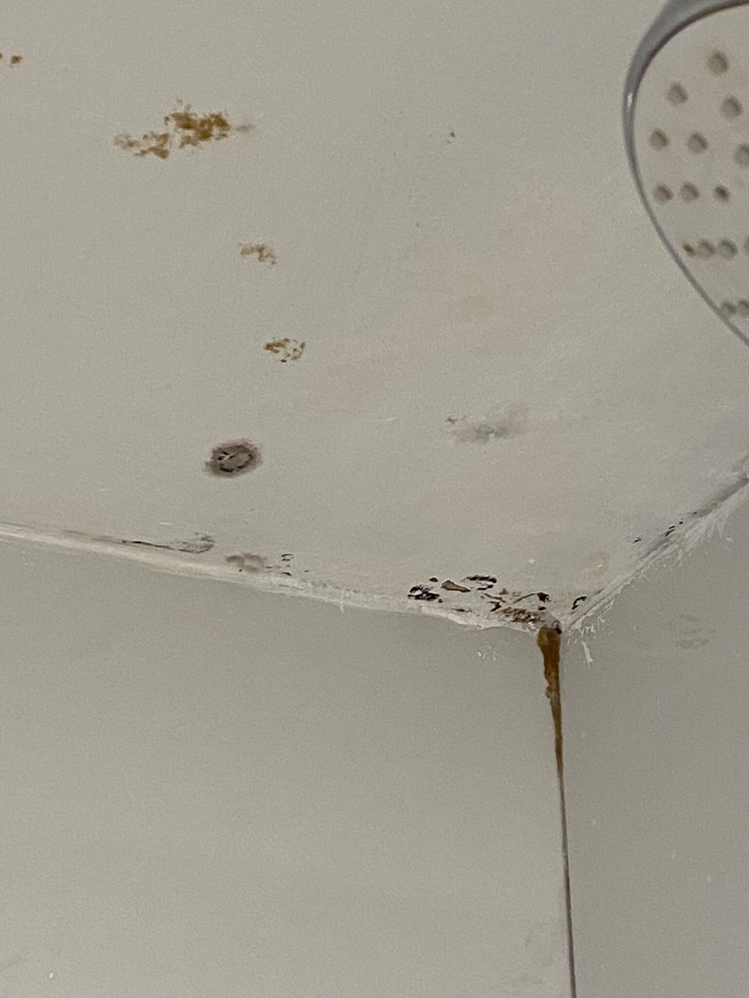 芒果湾全包酒店-官方