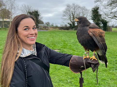 Hawkeye School of Falconry-基尔肯尼必去景点