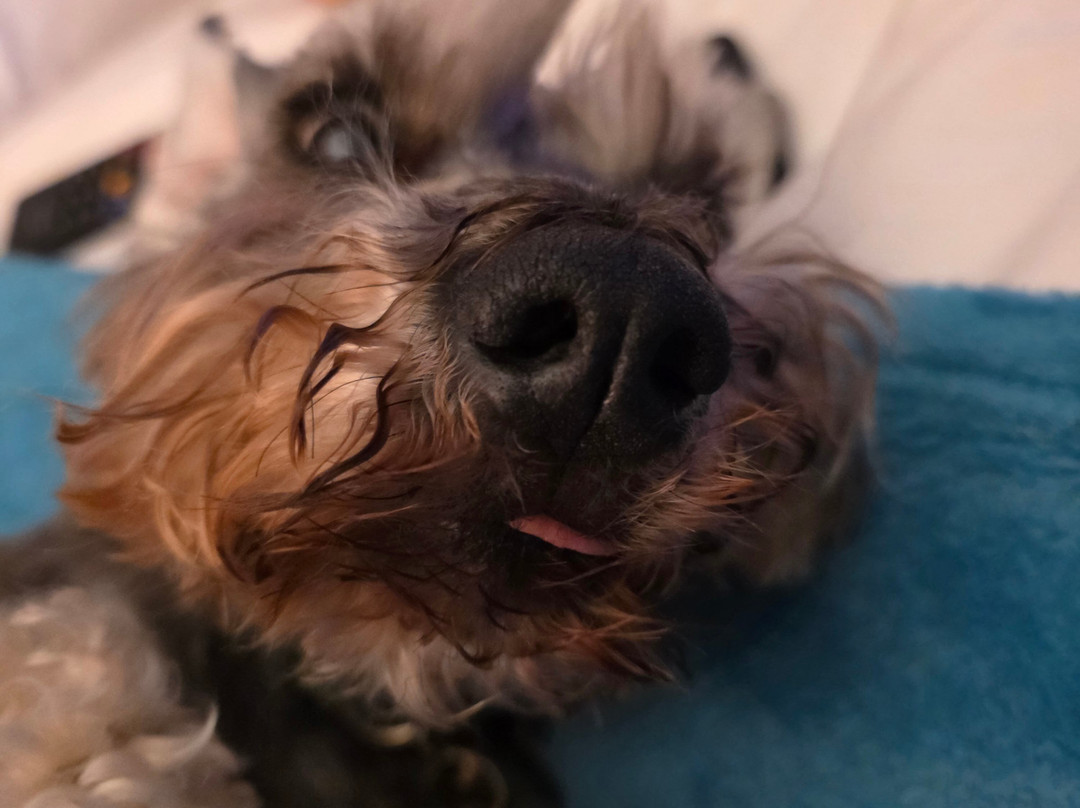 Heartseed House B&B主图