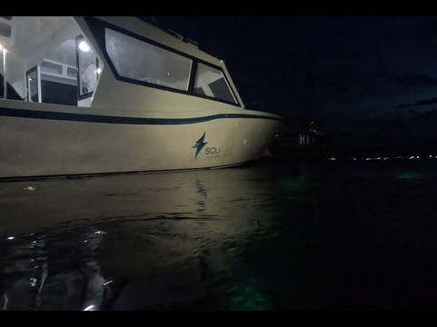 Solitude Lembeh Resort主图