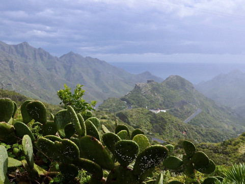 Las Montanas de Anaga-特纳里夫必去景点