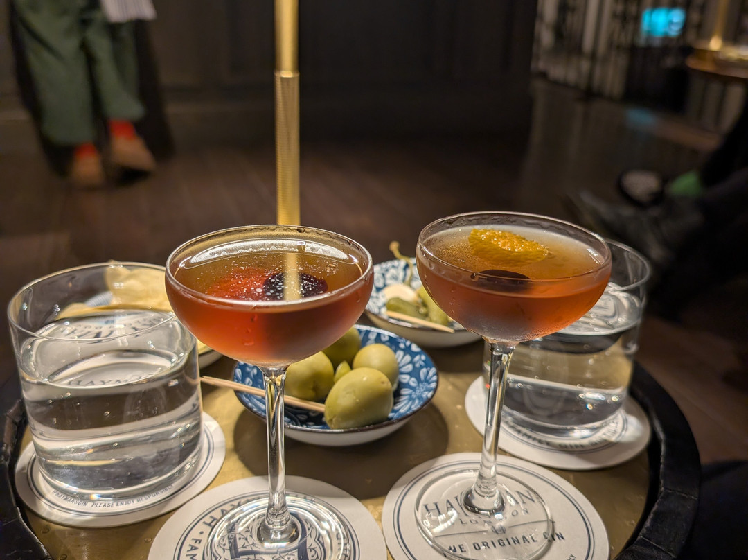 Hayman's Distillery-伦敦必去景点