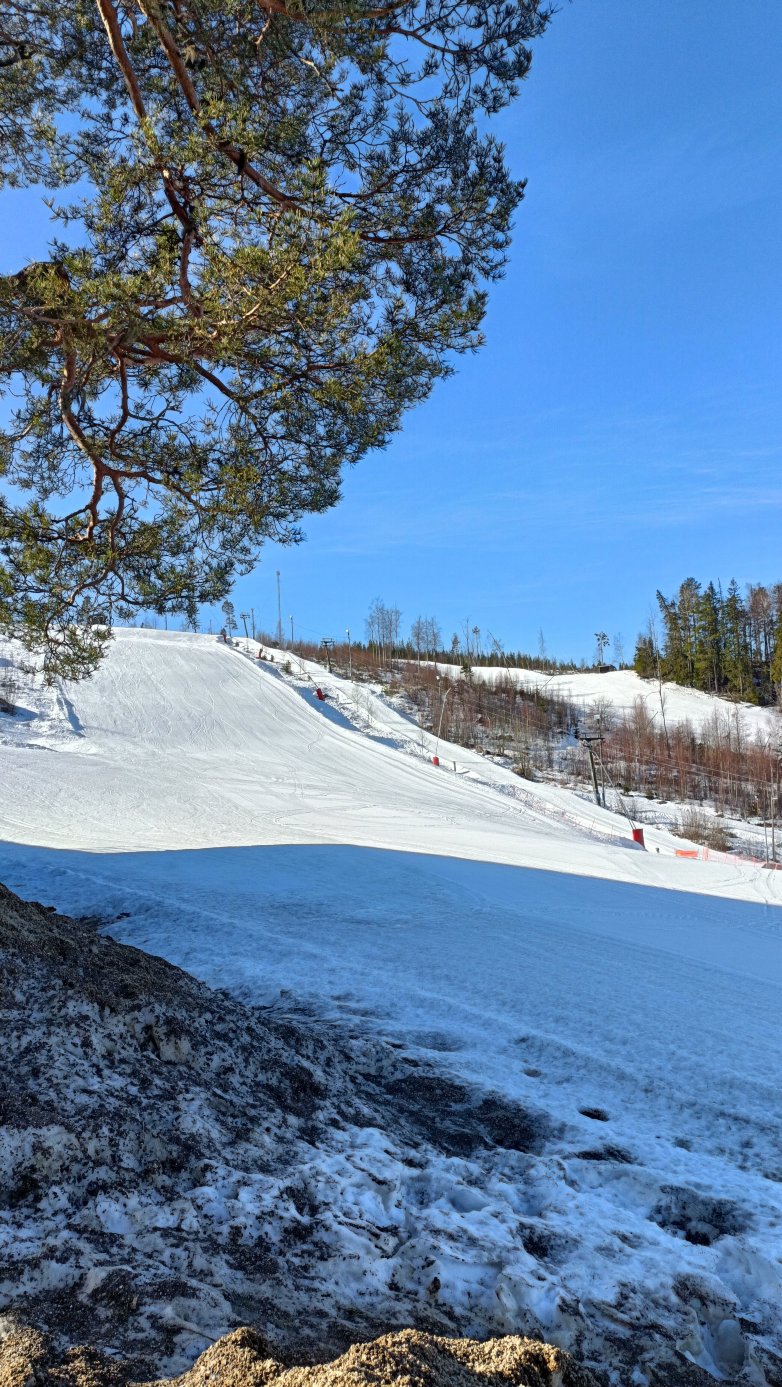 哈尔斯塔伯格特酒店-官方