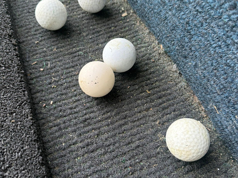 Cainhoe Wood Golf Club-Shefford必去景点