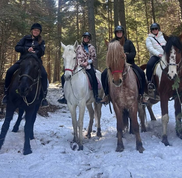 Bulgaria on Horseback-波罗维兹必去景点