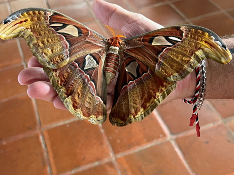 Travel Point Bali-Ketewel必去景点