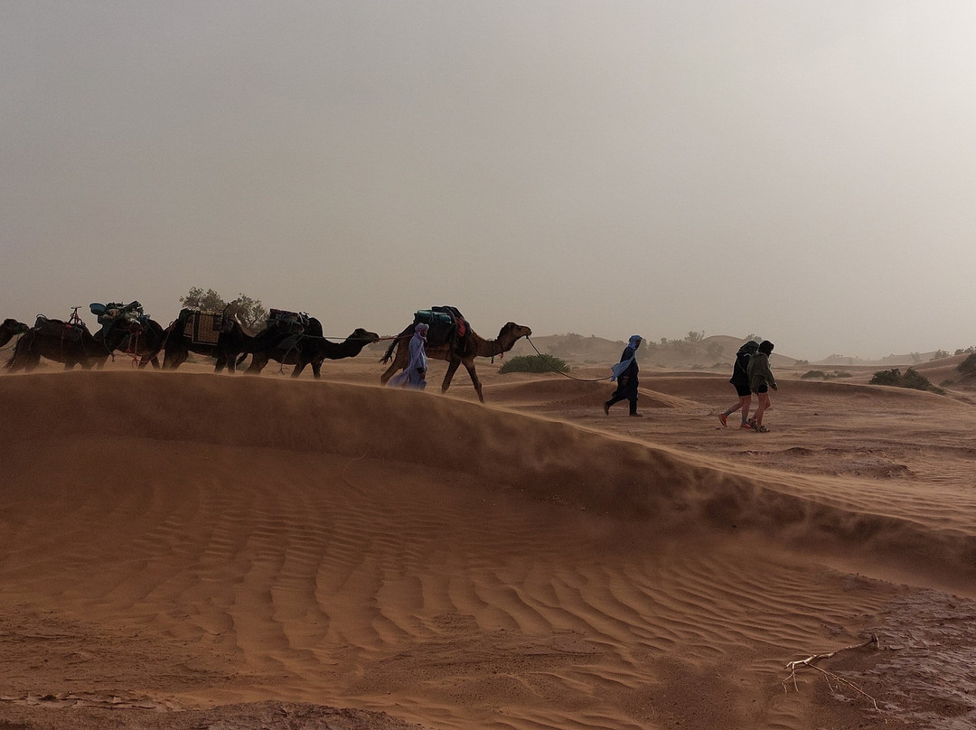 Morocco Tour Travel-扎古拉必去景点