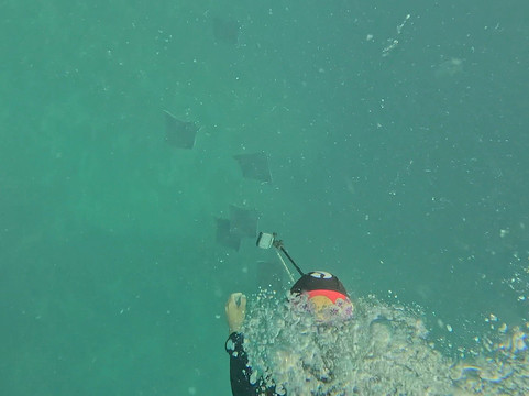 Panama Dive Center-Santa Catalina必去景点