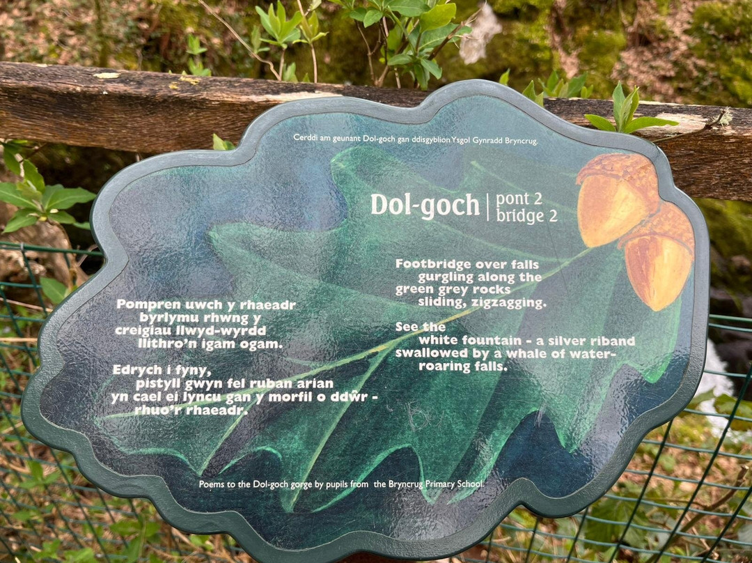 Dolgoch Falls-雪墩国家公园必去景点