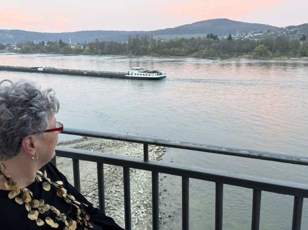 德雷森莱茵酒店-官方