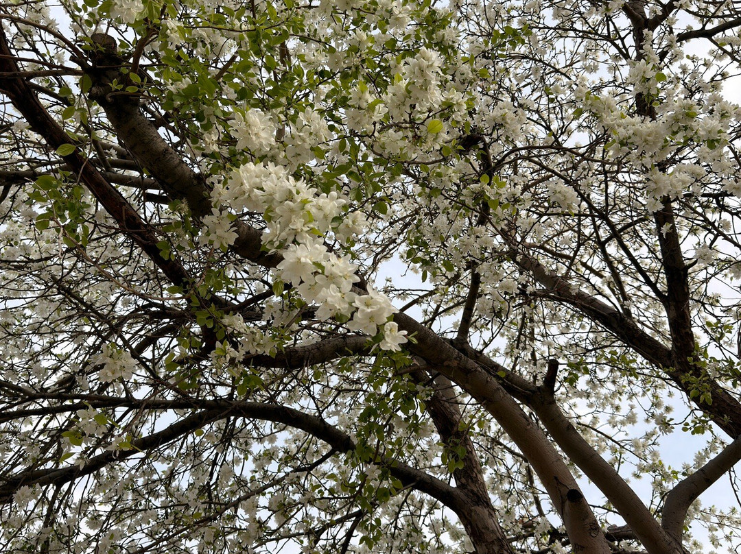 Tollgate Park-奥罗拉必去景点