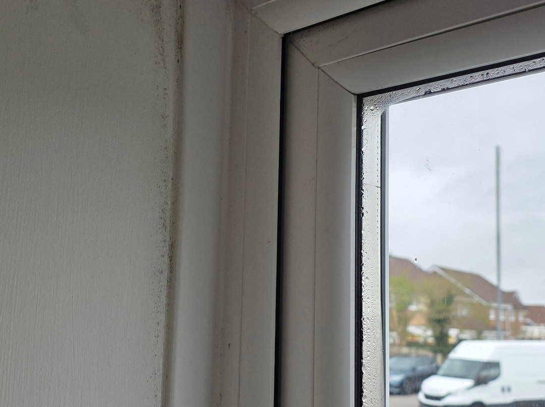 酿酒师山林小屋主图