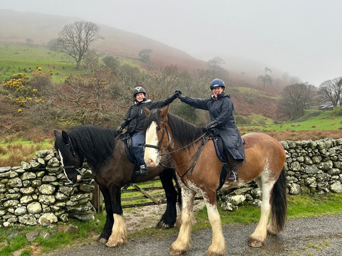 Cumbrian Heavy Horses-Millom必去景点