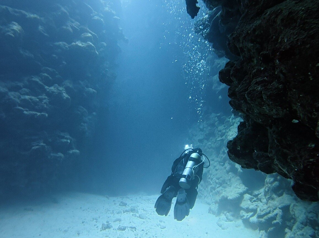 Sinai Divers Backpackers-达哈卜必去景点