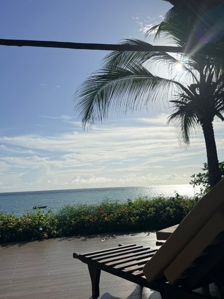 桑给巴尔扎瓦迪酒店-官方