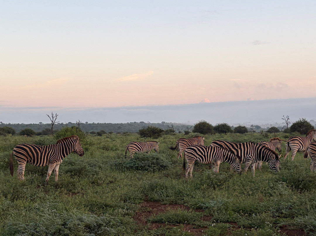 Southern Kruger Safaris-玛洛斯帕克必去景点