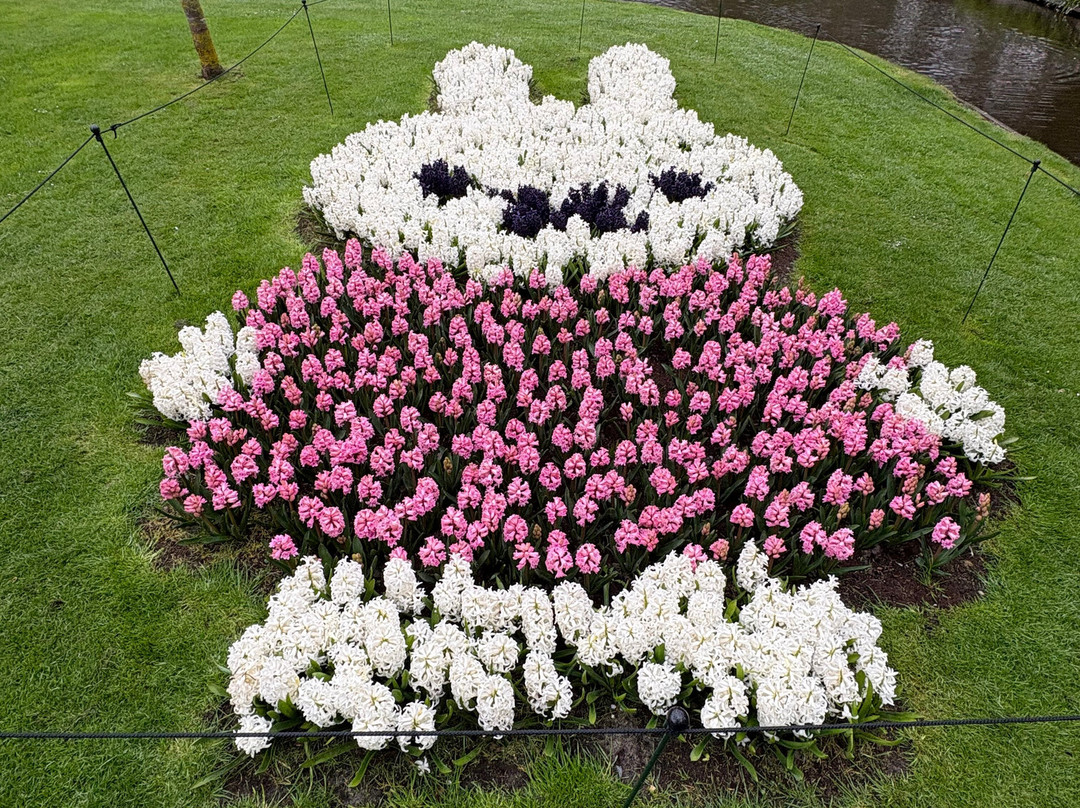 Holland Tour Company-哈勒姆必去景点