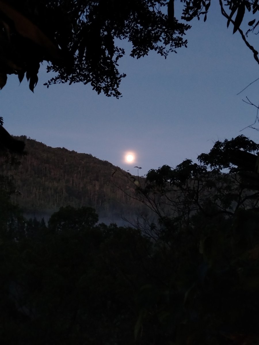 天堂鸟酒店-官方