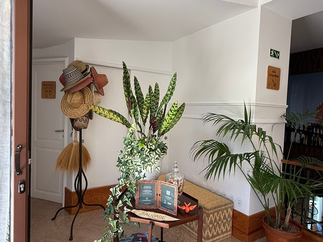 卡萨达埃斯特凡尼娅主图