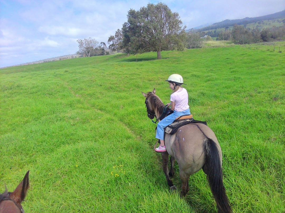 鲁达罗大农场-威可洛亚必去景点