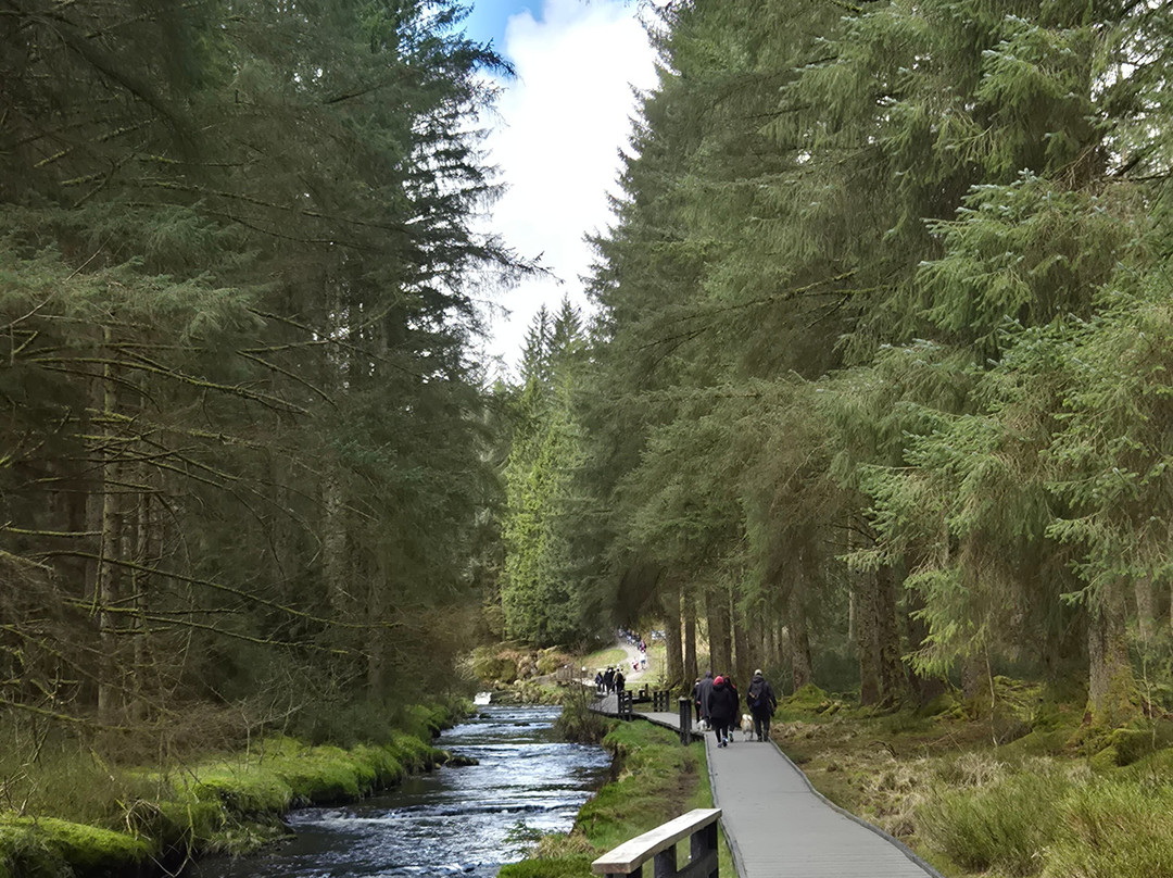 Hafren Forest-Llanidloes必去景点