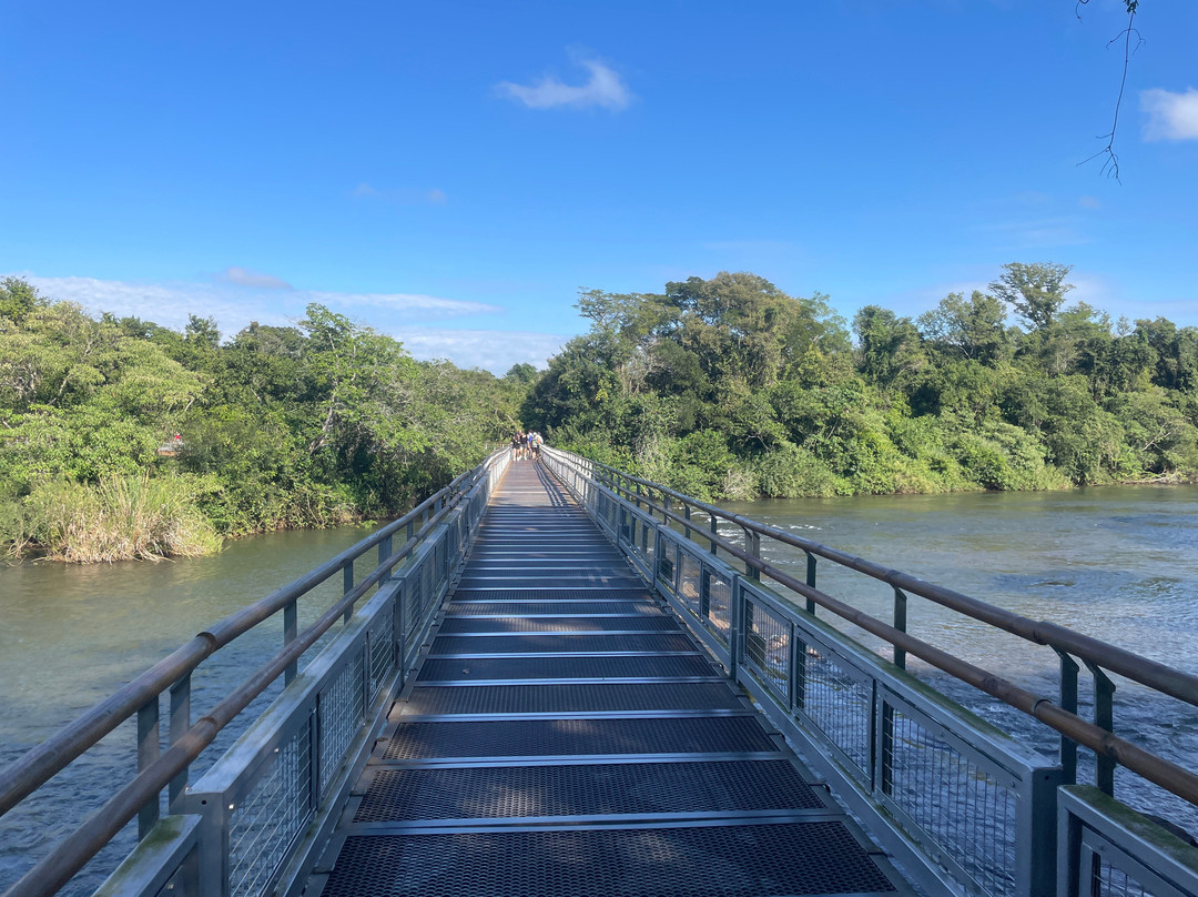 Iguazu Jungle-伊瓜苏港必去景点