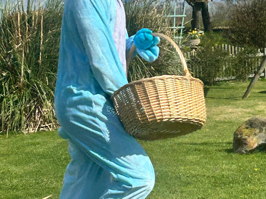 雉鸡乡村民宿主图