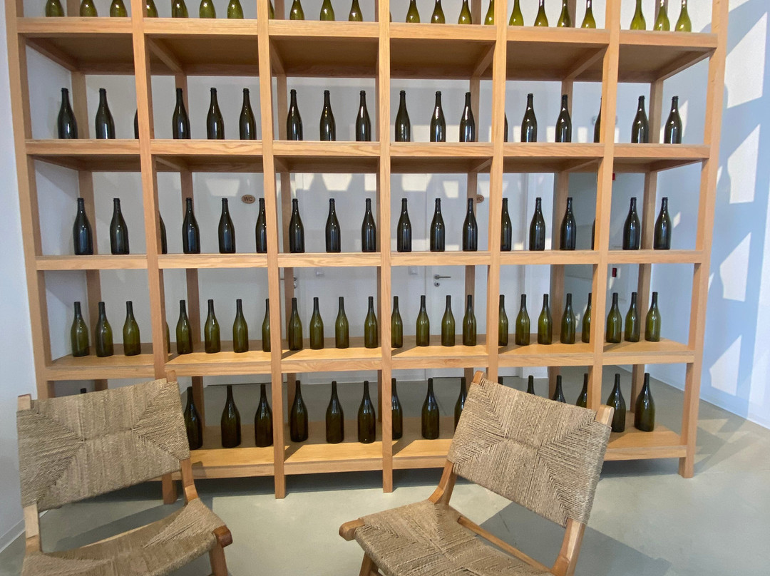 Vicentino Wines-Odemira必去景点